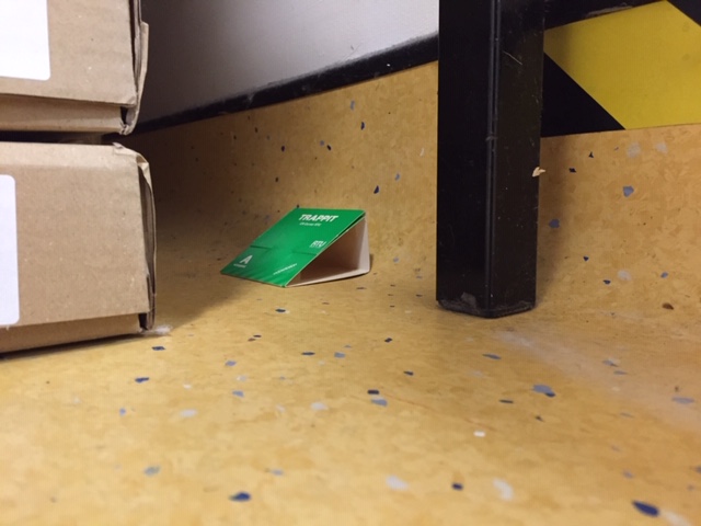 Green triangular card chemical trap on the floor.